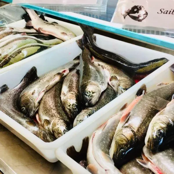 Fischzucht Ertl