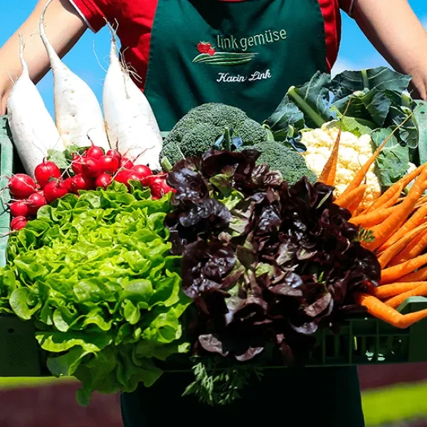 Link Gemüse