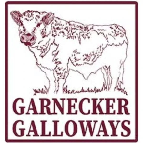 Garnecker Galloways