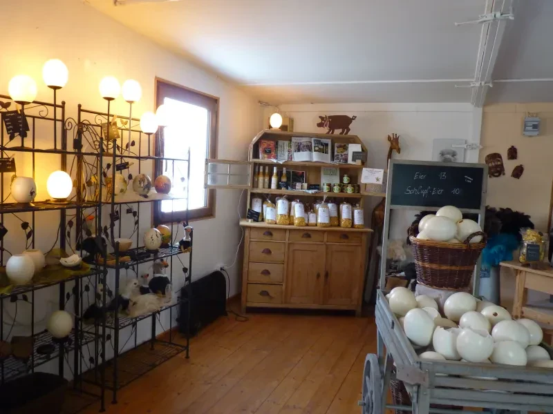 Straußennest Wiedemann