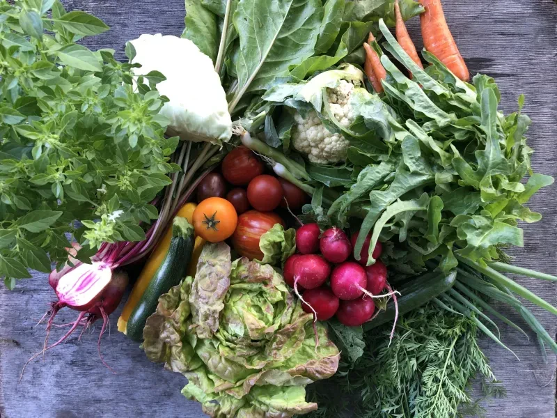 Bioland Gärtnerei Hecker