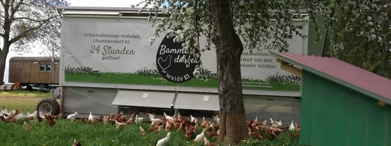 Bammersdorfer WeideEi