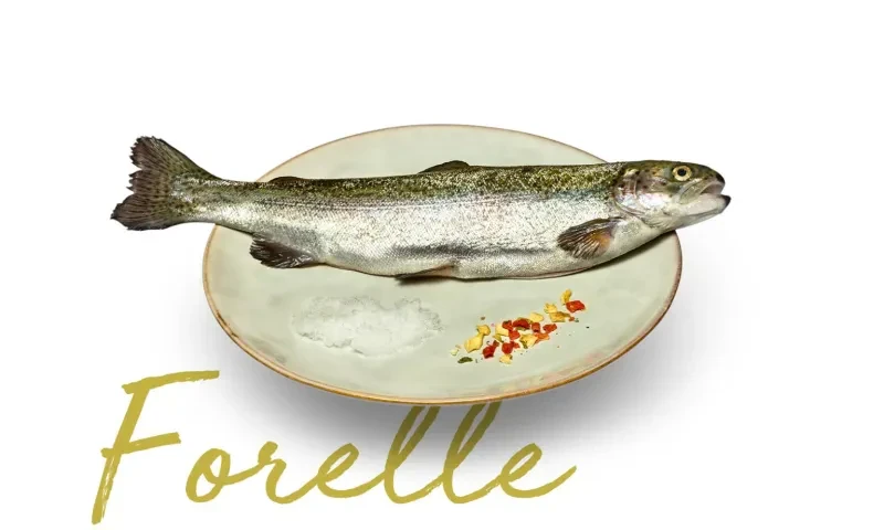 Haidmühler Fischladerl