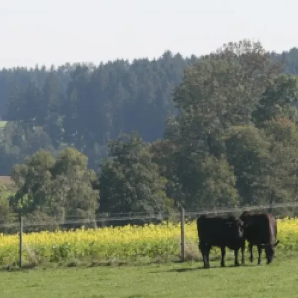 Bader Biohof