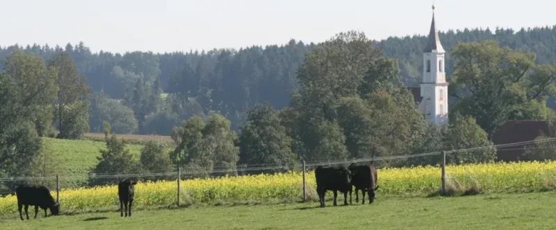 Bader Biohof