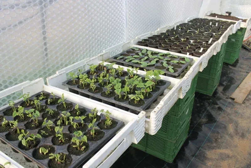 Bio Hofladen Gärtnerhof Fritsche